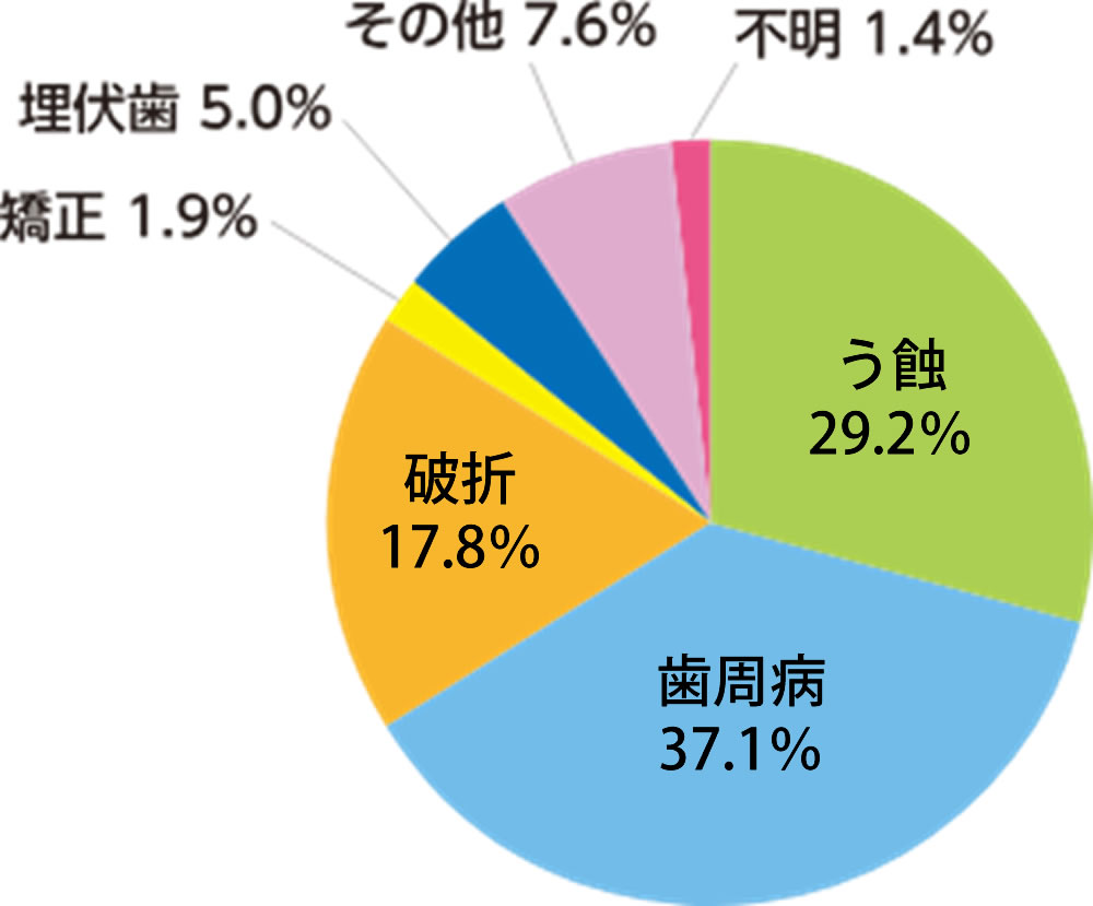 サンプルイメージ